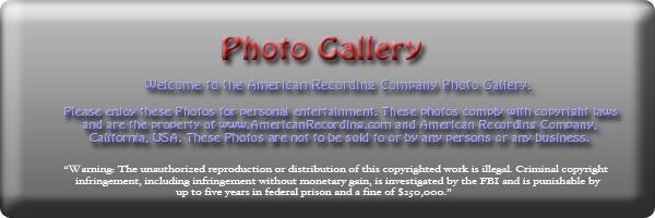 photogal_sign